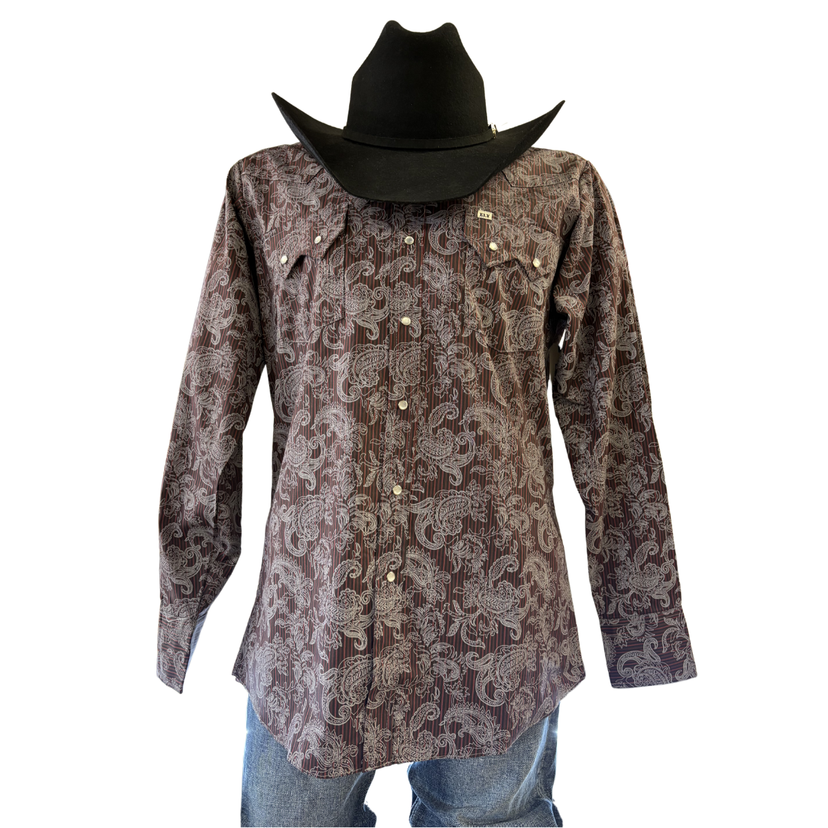 Men's Burgundy & Black Paisley Western Snap Shirt