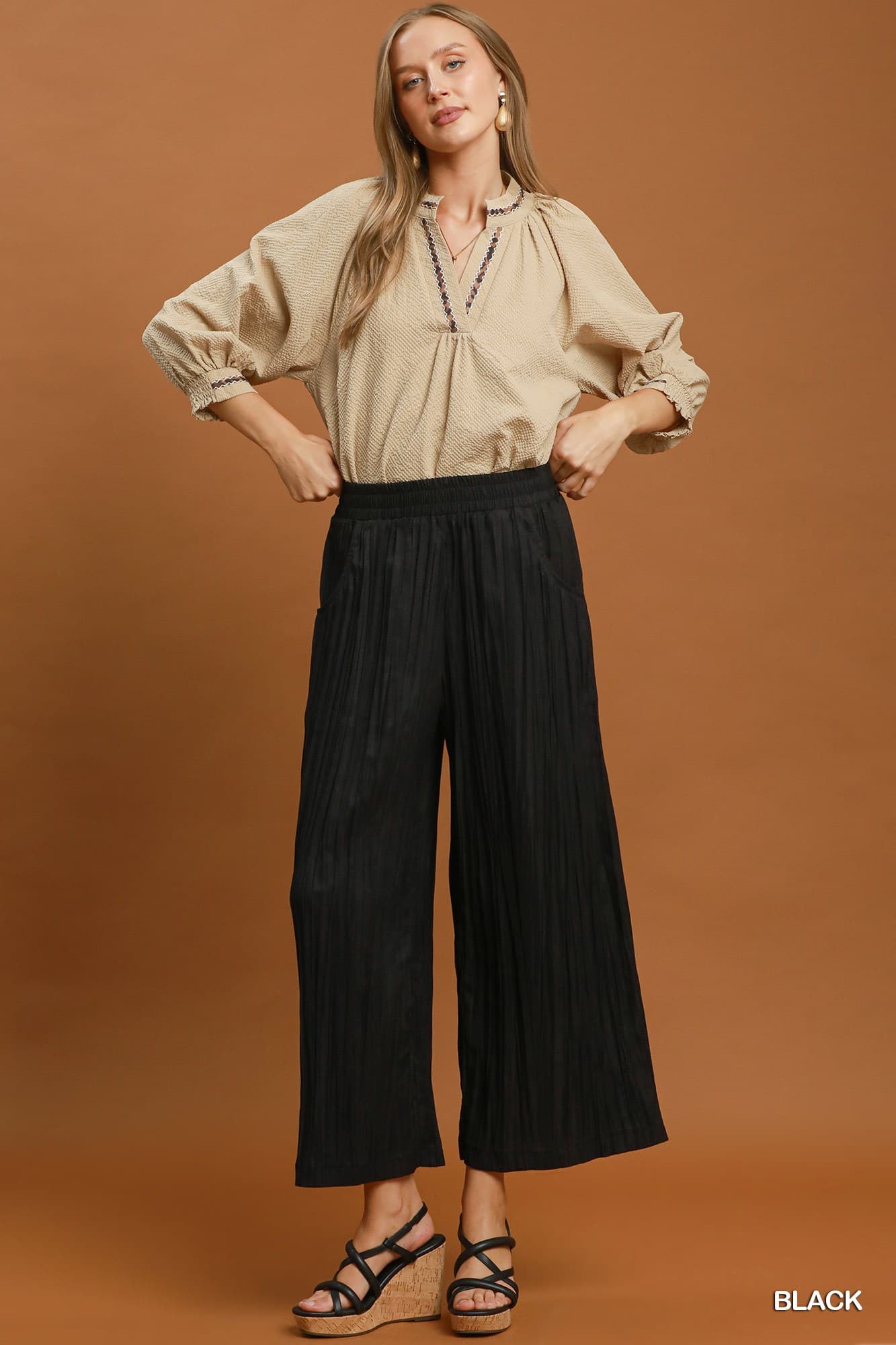 Black Pleated Wide Leg Pants
