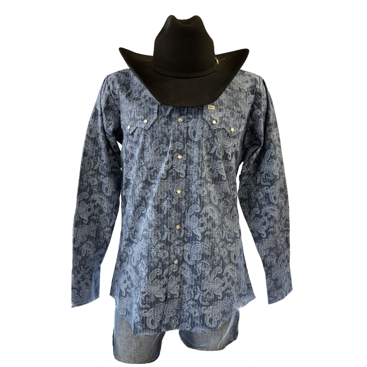 Men's Navy Blue Paisley Western Snap Shirt