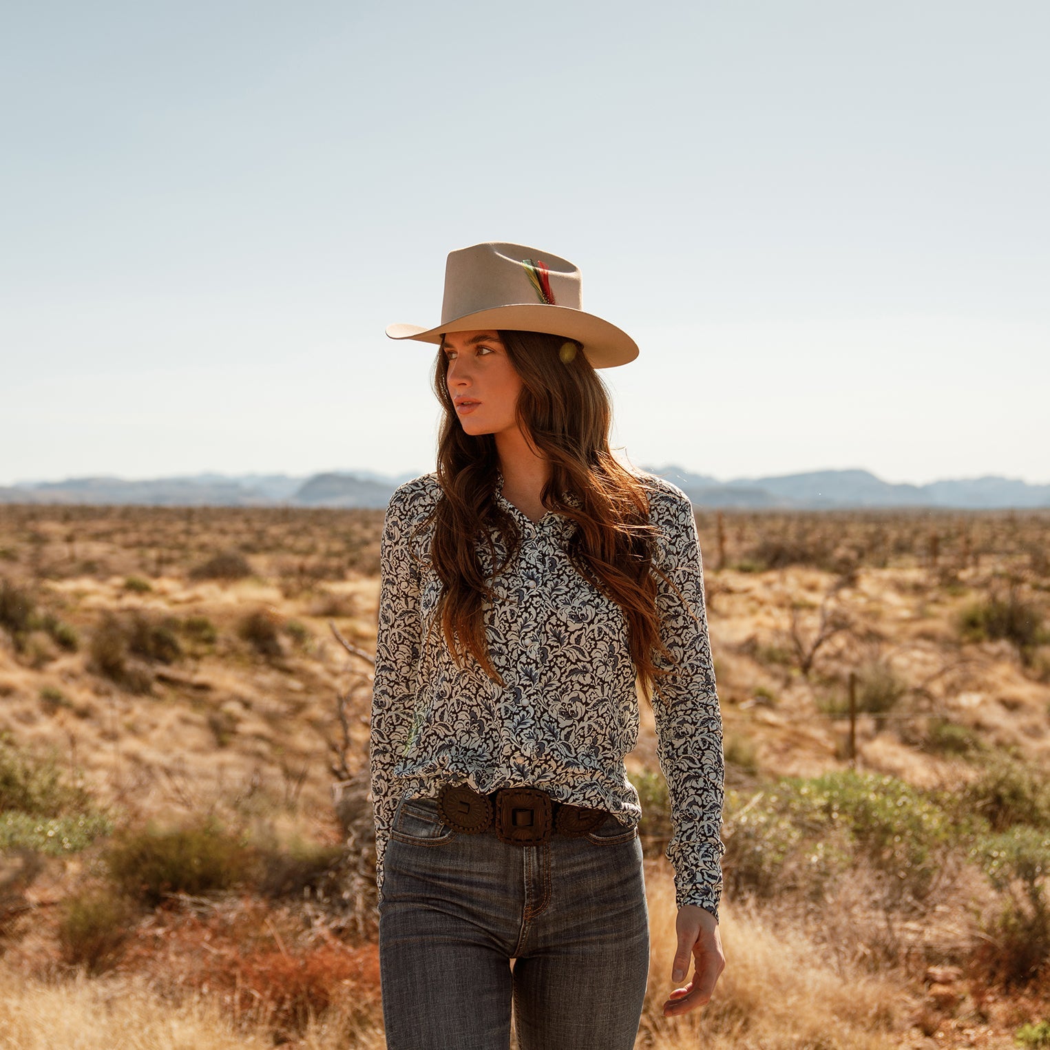 Stetson Range 6X Silverbelly