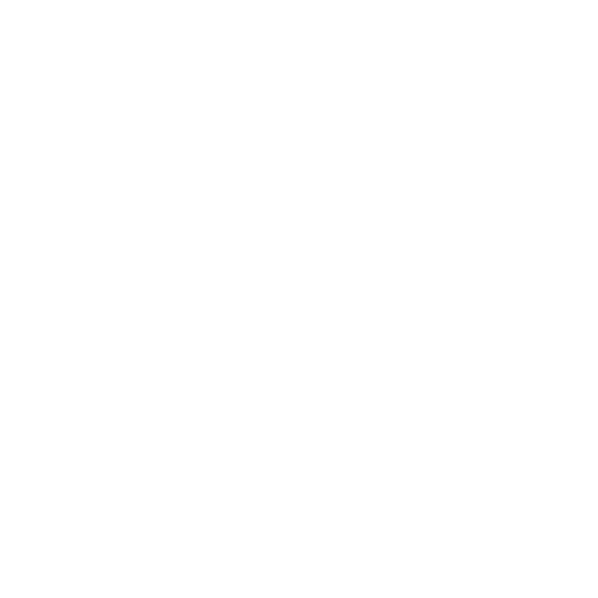 Lionel's Western Wear & Boutique logo