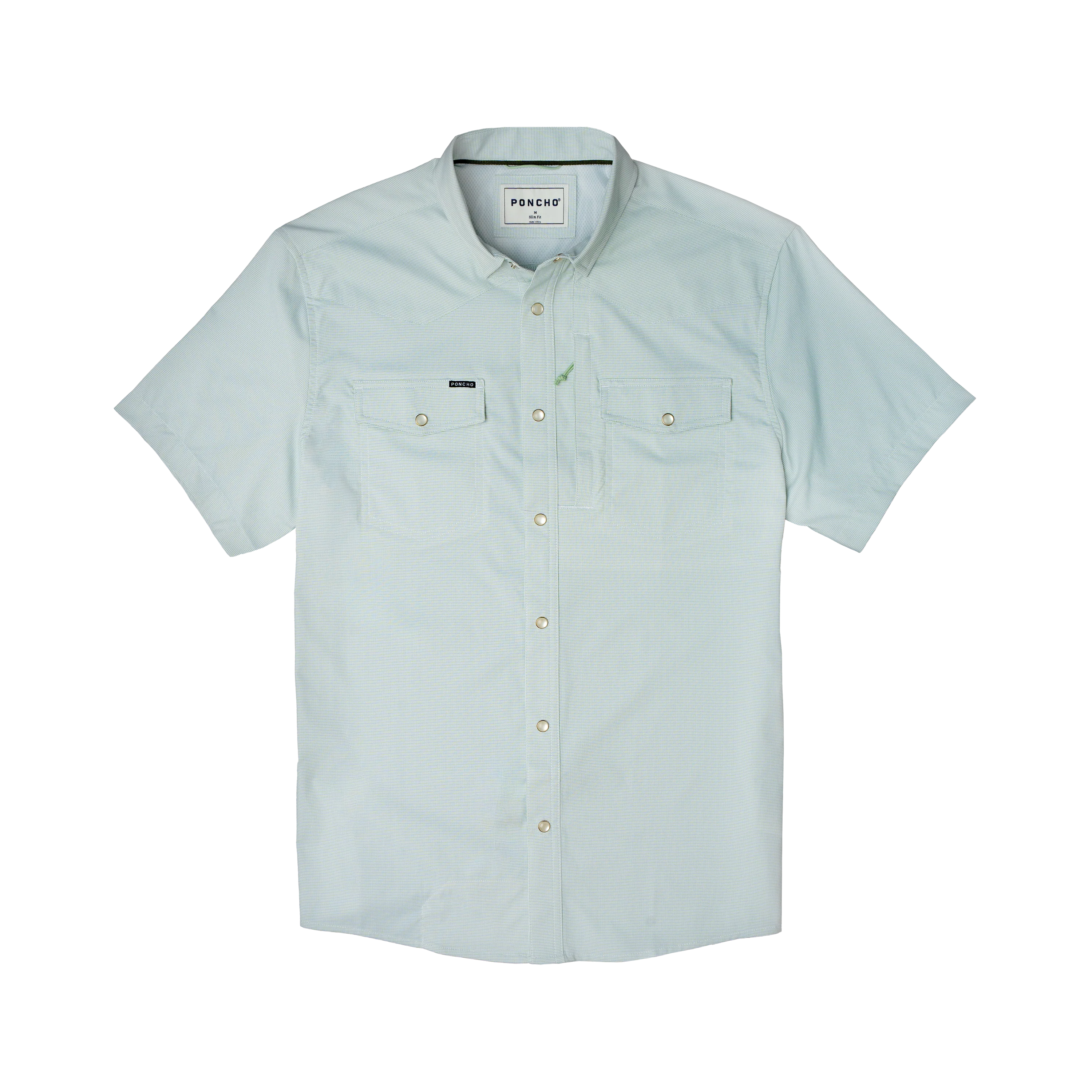 The Evergreen by Poncho