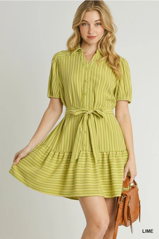 Lime Light Striped Belted Mini Dress