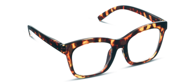 To the Maximalist - Tortoise