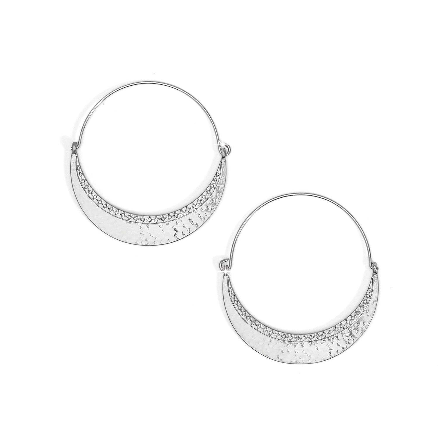 Palm Canyon Large Silver Hoop Earrings