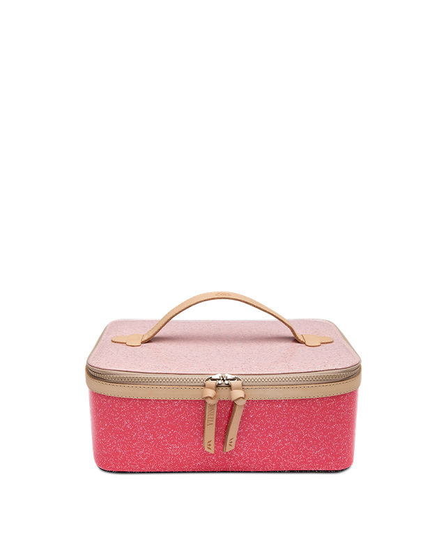 Bae Train Case