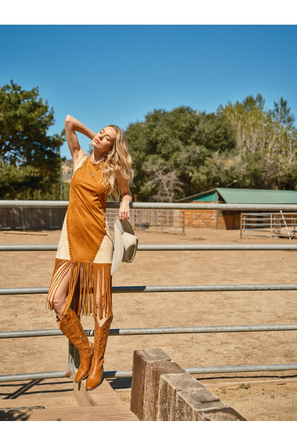 Two Toned Suede Studded Fringe Dress