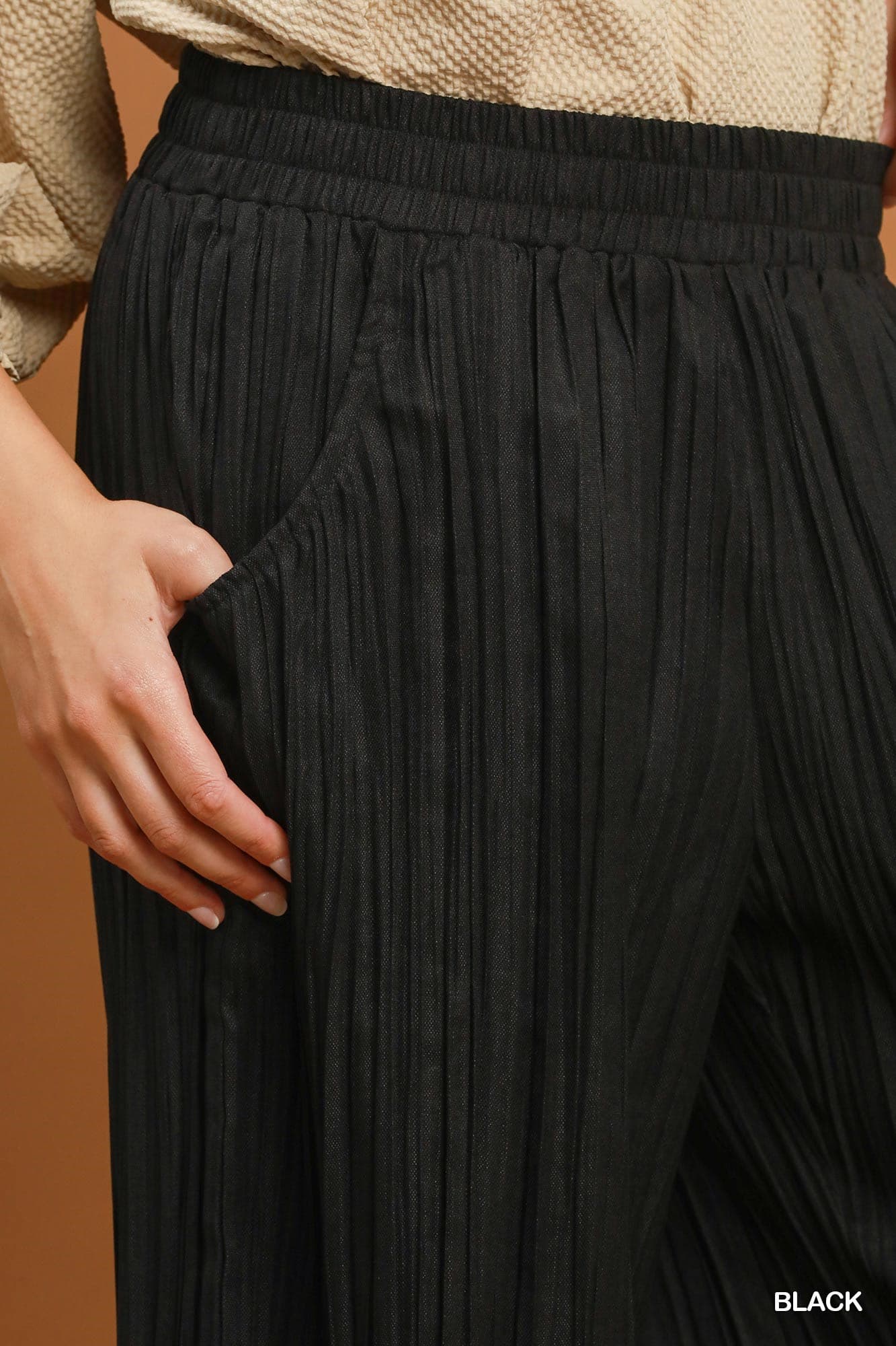 Black  Pleated Wide Leg Pants