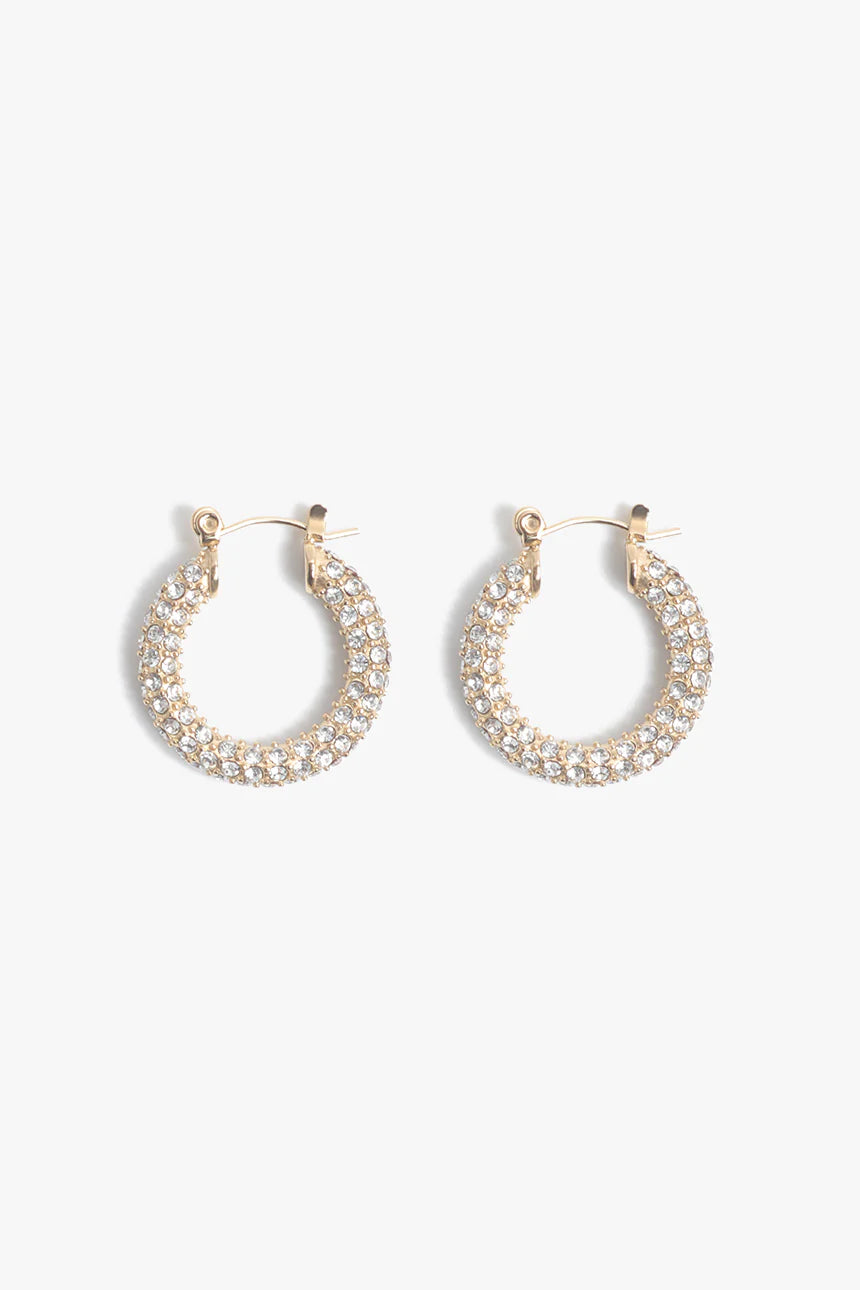 Audrey Hoops- Pave
