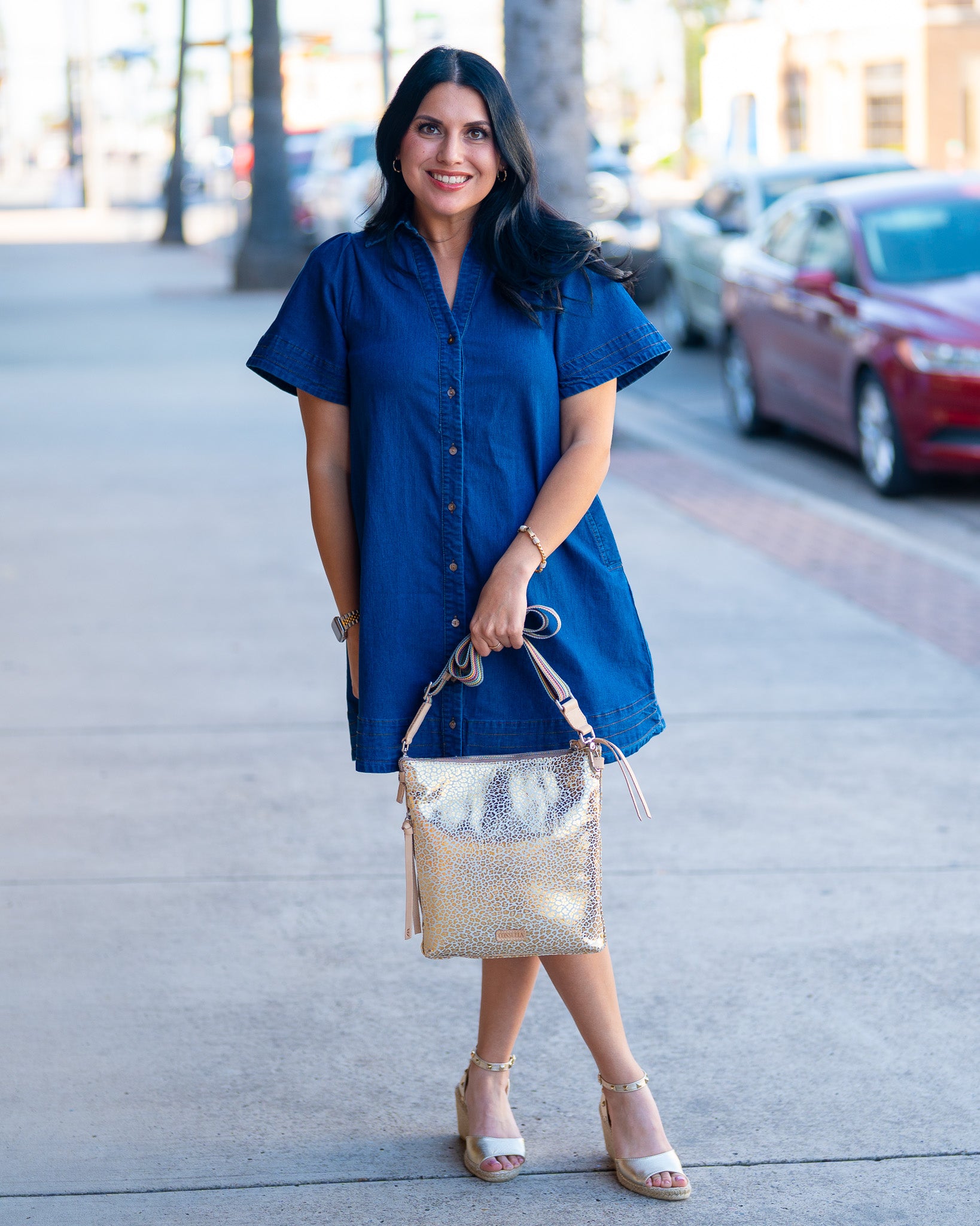 Denim V-Neck Swing Dress