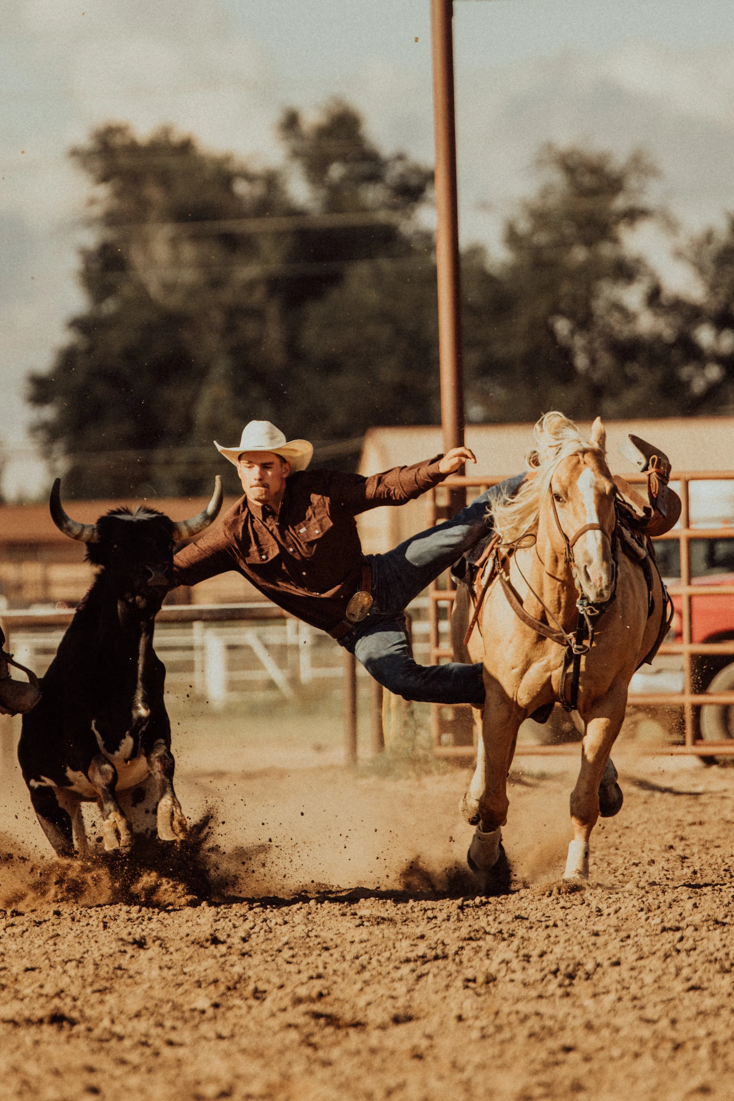 The Collin in Brown- Long Sleeve Snap Shirt by Ferrell