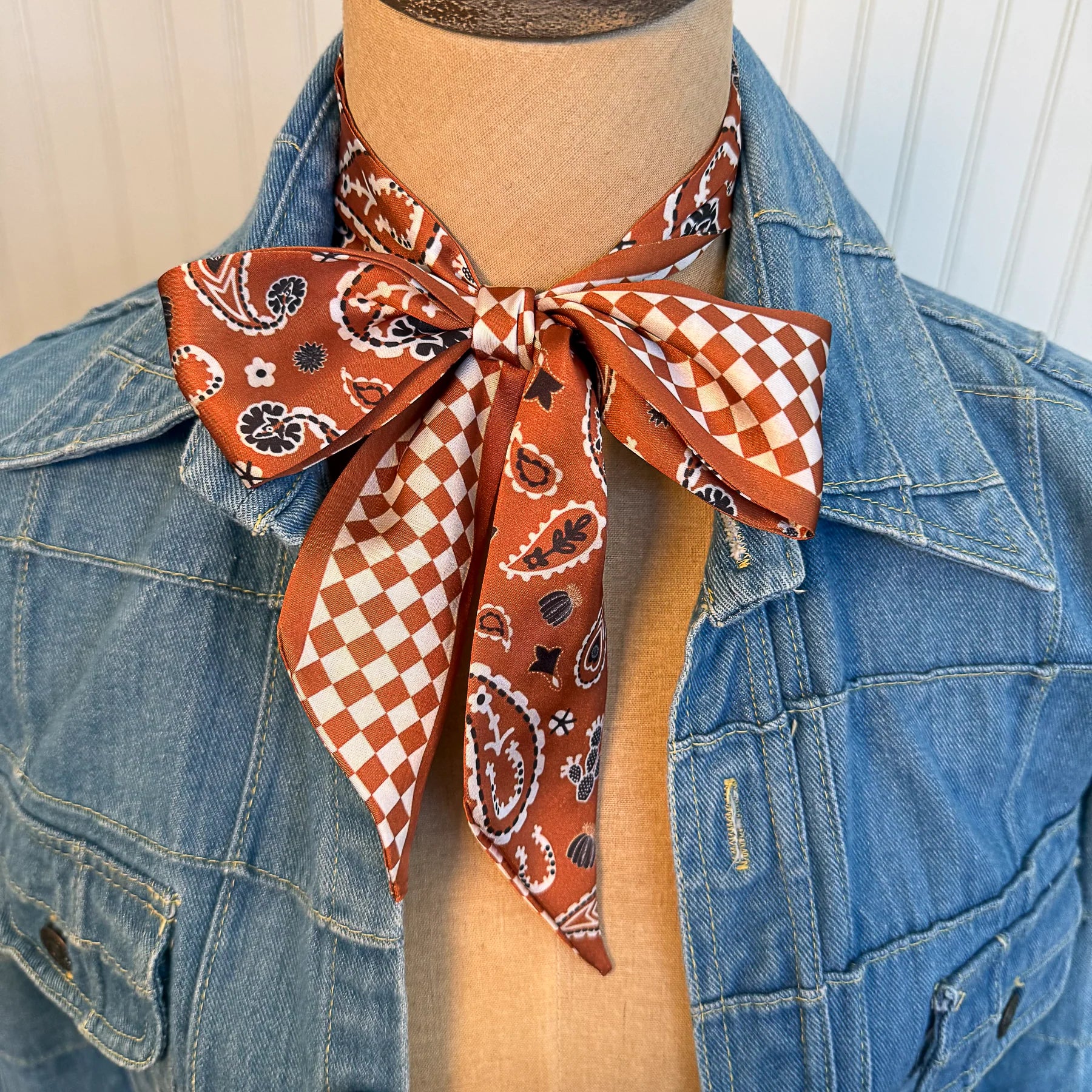 Luck be a Paisley Twilly- Saddle