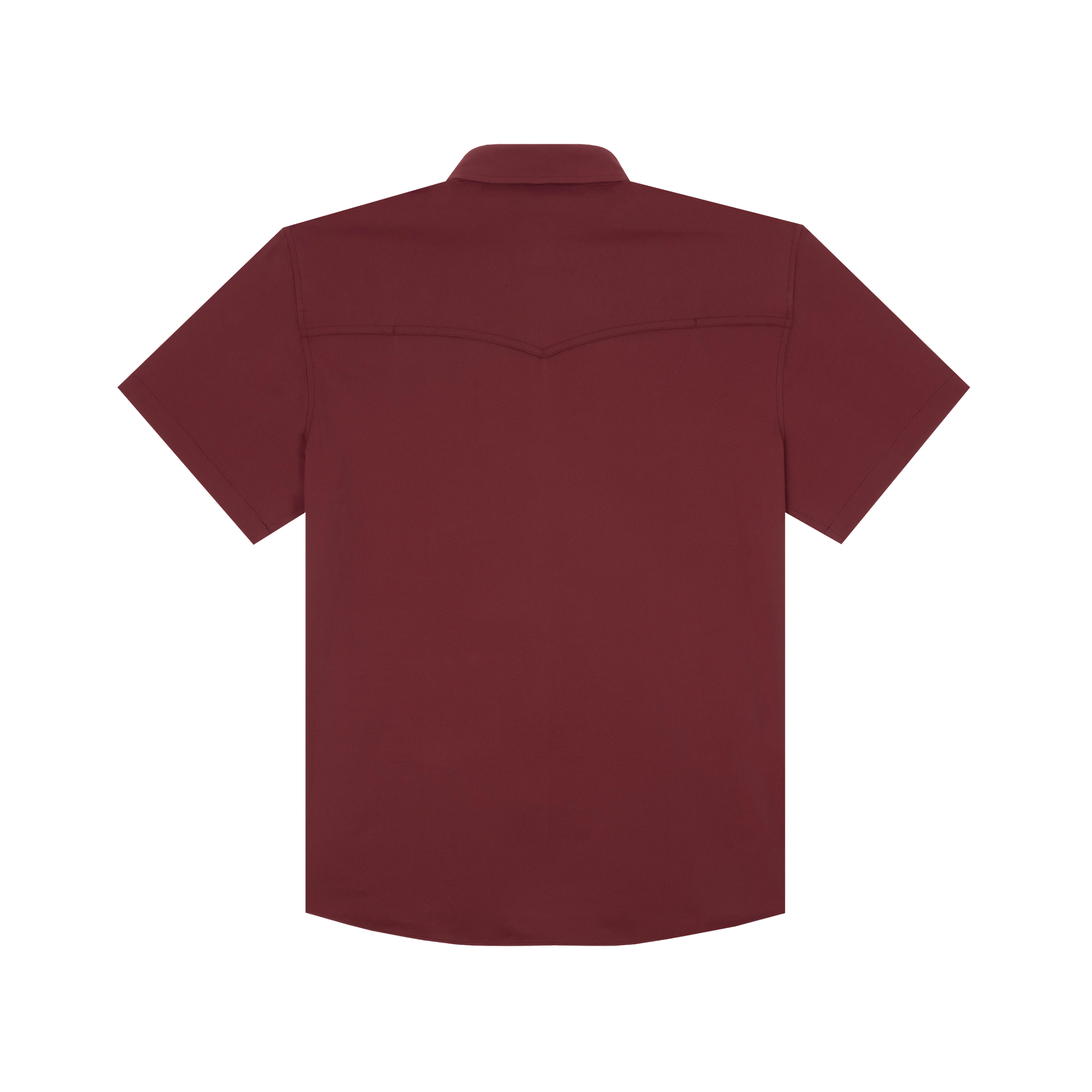 The Aggie by Poncho