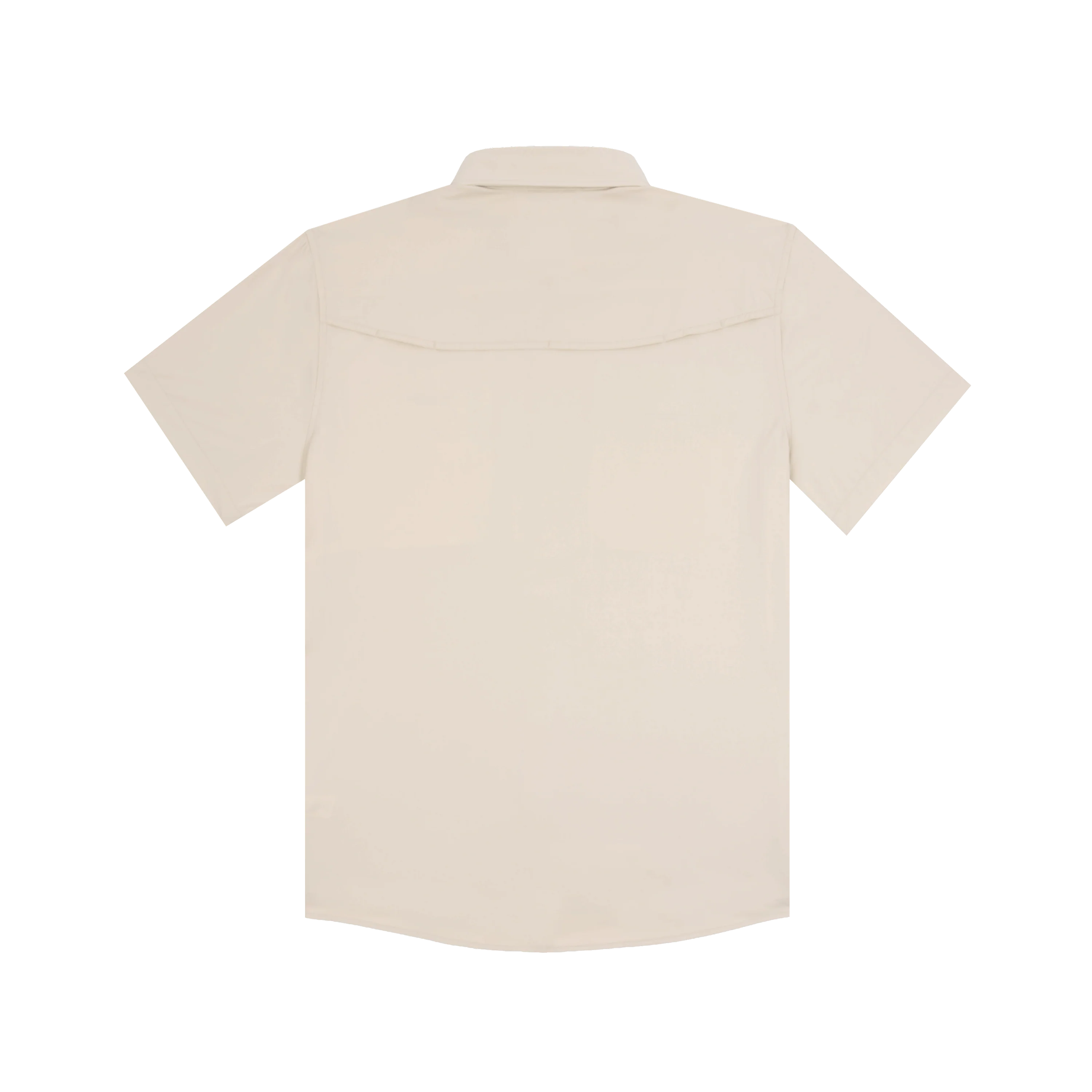 The Brown Bear by Poncho