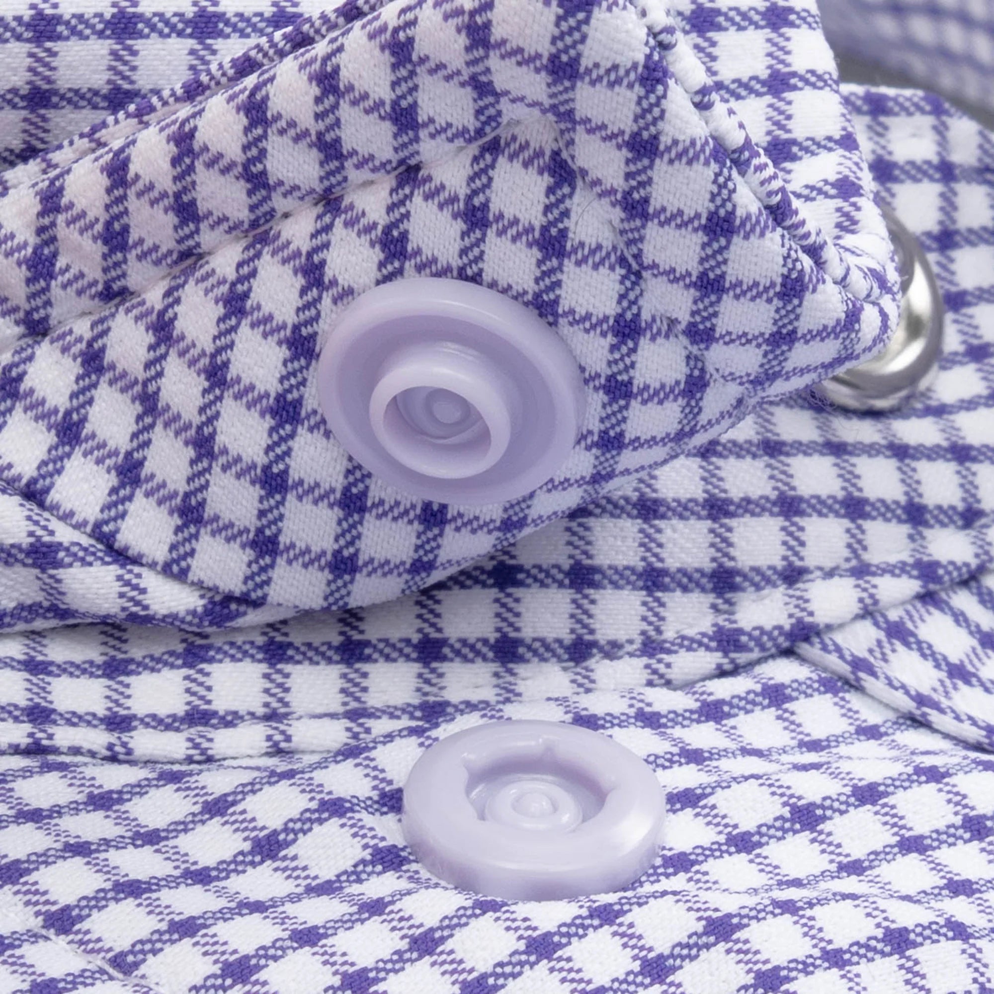 The Rogers by Poncho