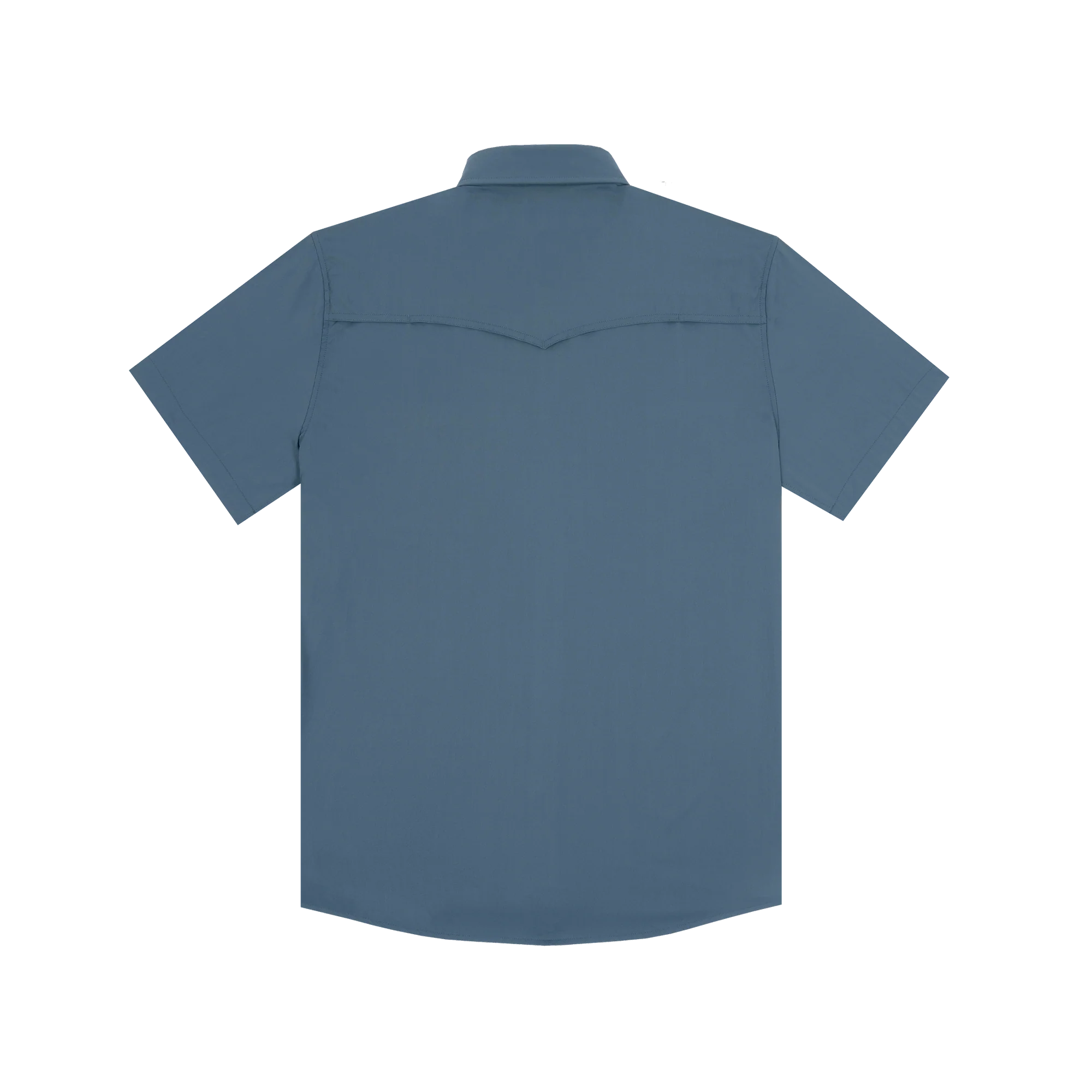 The Dogtooth by Poncho