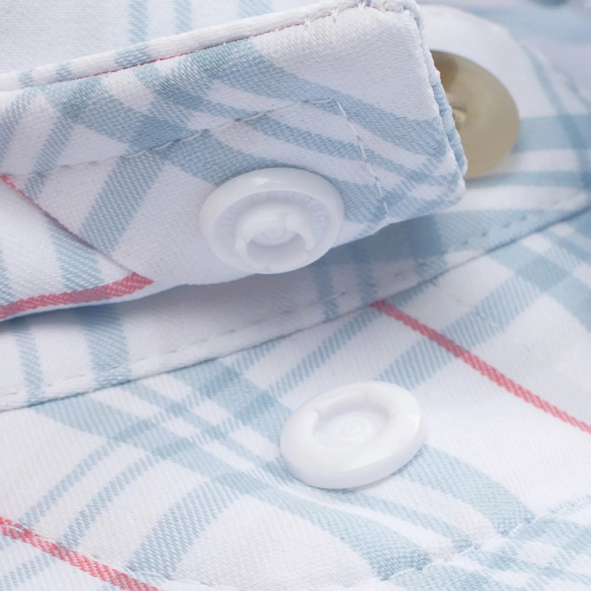 The Croaker by Poncho