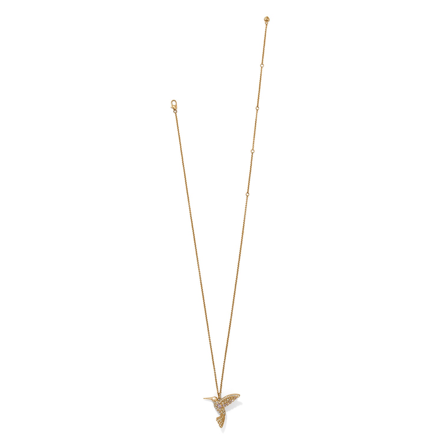 Trust Your Journey Golden Hummingbird Necklace