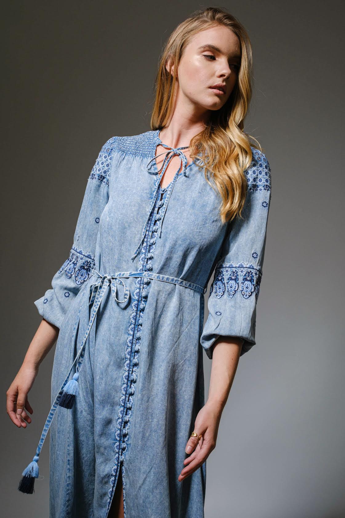 Washed Tencel Denim Embroidered Maxi Dress