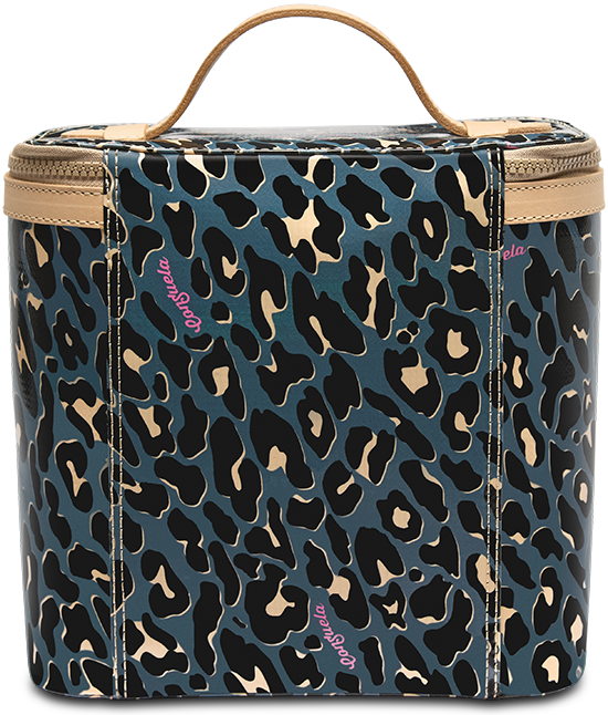 Danni Slim Train Case