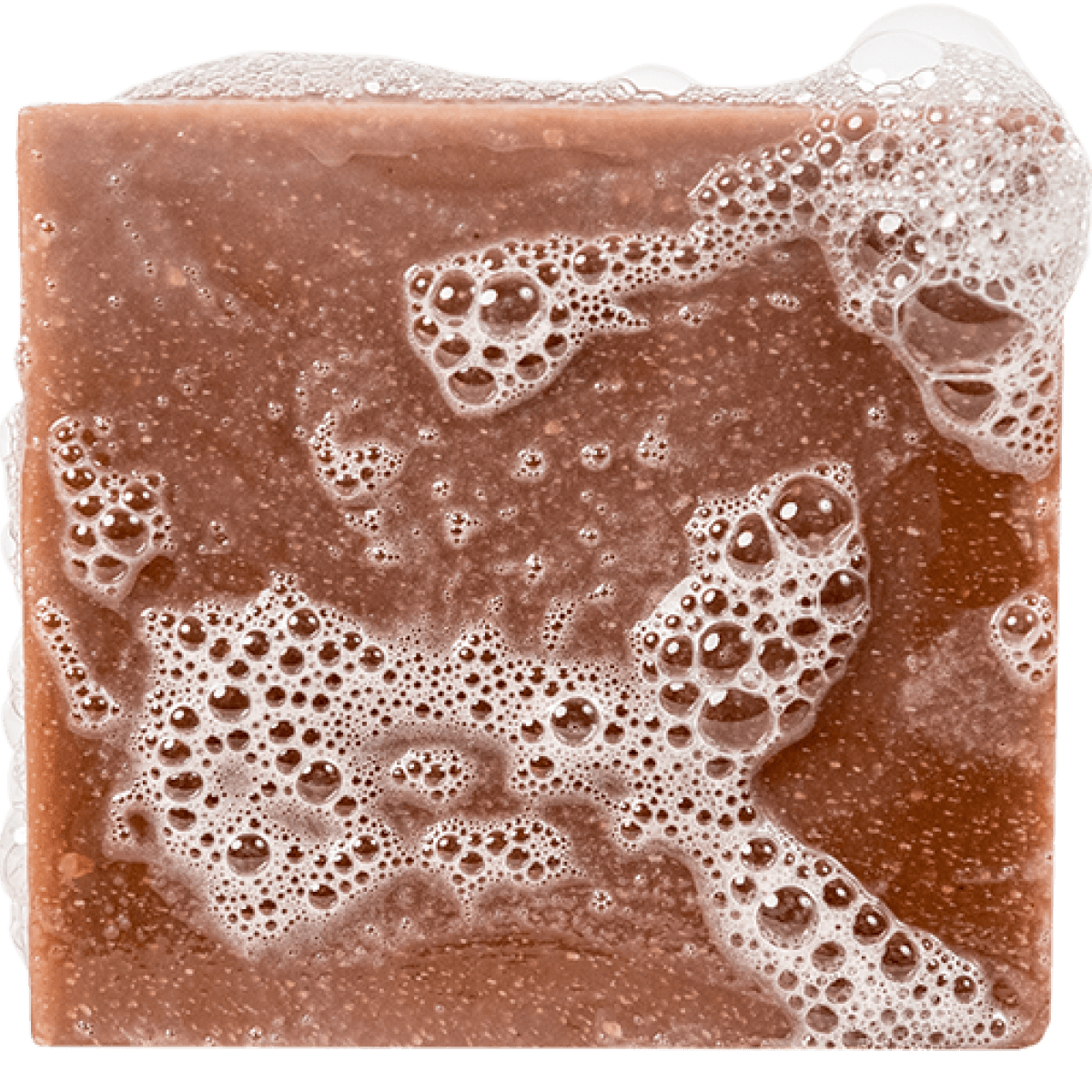 Gold Moss Bar Soap